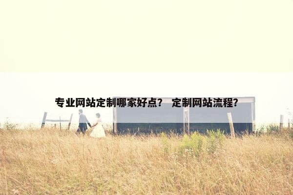 专业网站定制哪家好点？ 定制网站流程？