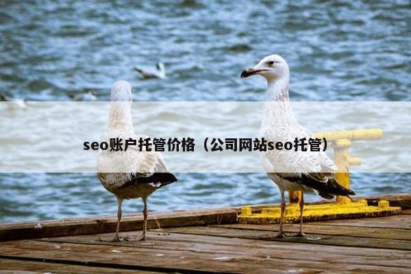 seo账户托管价格（公司网站seo托管）