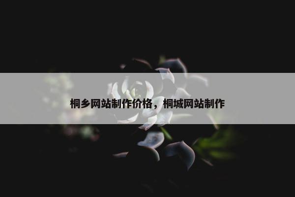 桐乡网站制作价格，桐城网站制作