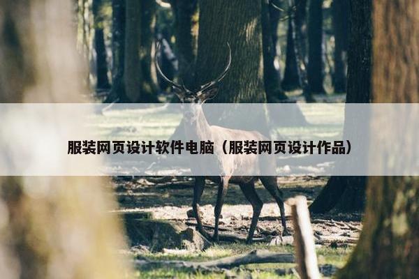服装网页设计软件电脑（服装网页设计作品）