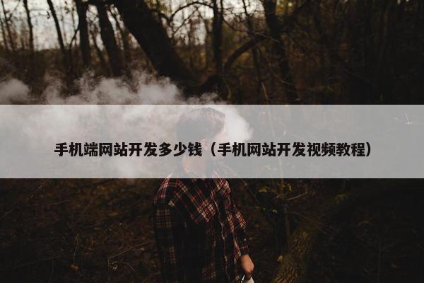 手机端网站开发多少钱（手机网站开发视频教程）