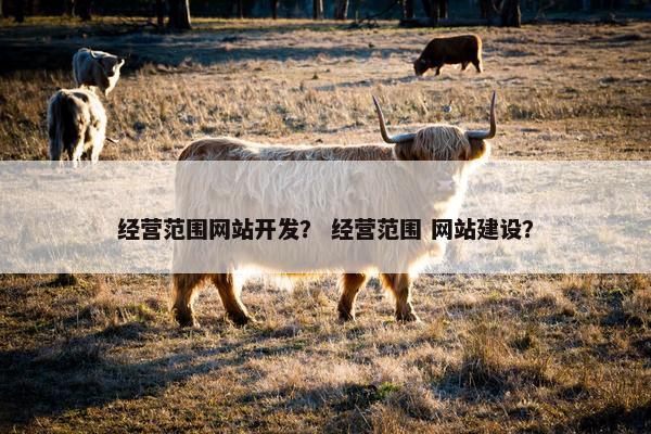 经营范围网站开发？ 经营范围 网站建设？