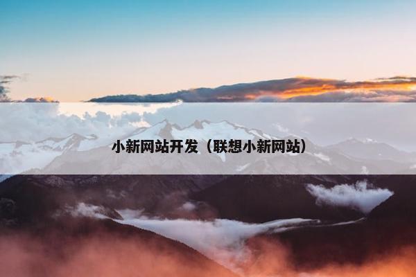 小新网站开发（联想小新网站）
