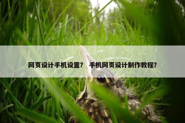 网页设计手机设置？ 手机网页设计制作教程？