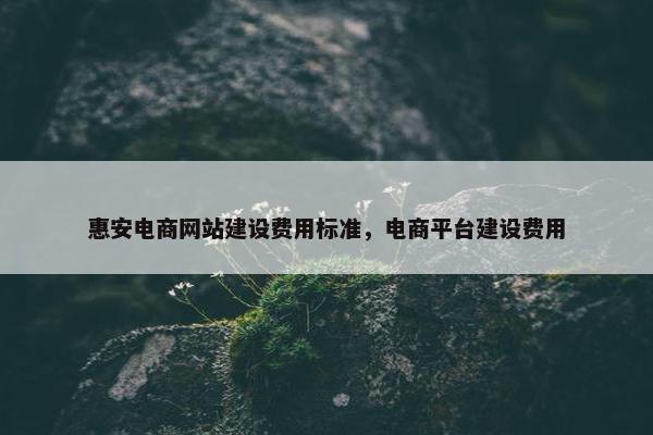 惠安电商网站建设费用标准，电商平台建设费用