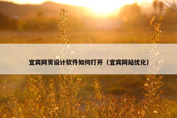 宜宾网页设计软件如何打开（宜宾网站优化）