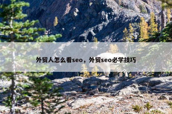 外贸人怎么看seo，外贸seo必学技巧