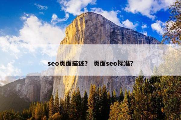 seo页面描述？ 页面seo标准？