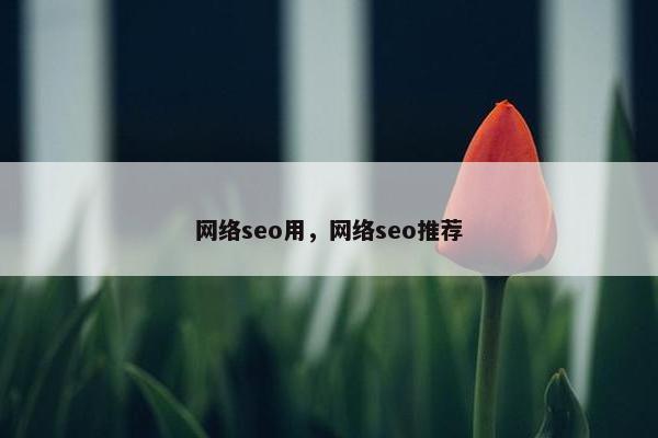 网络seo用，网络seo推荐