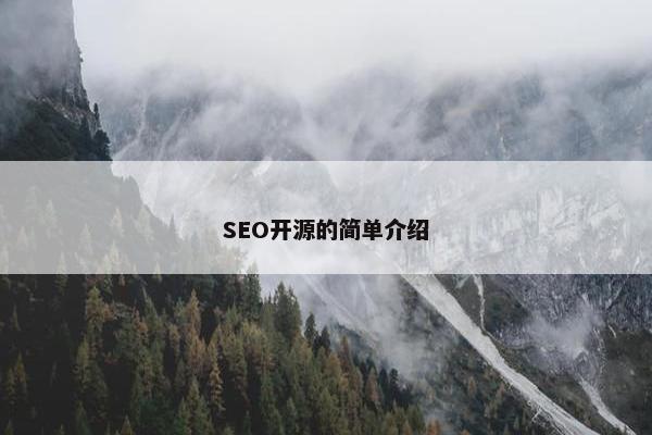SEO开源的简单介绍