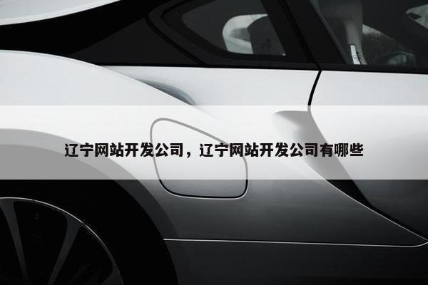 辽宁网站开发公司，辽宁网站开发公司有哪些