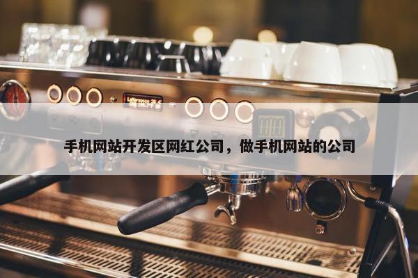 手机网站开发区网红公司，做手机网站的公司