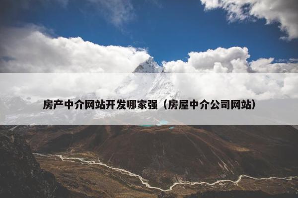 房产中介网站开发哪家强（房屋中介公司网站）