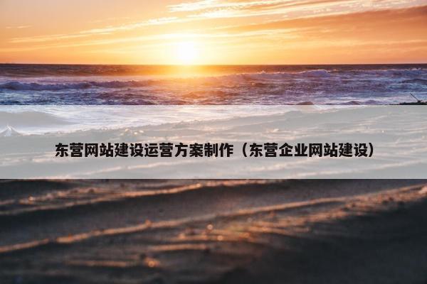 东营网站建设运营方案制作（东营企业网站建设）
