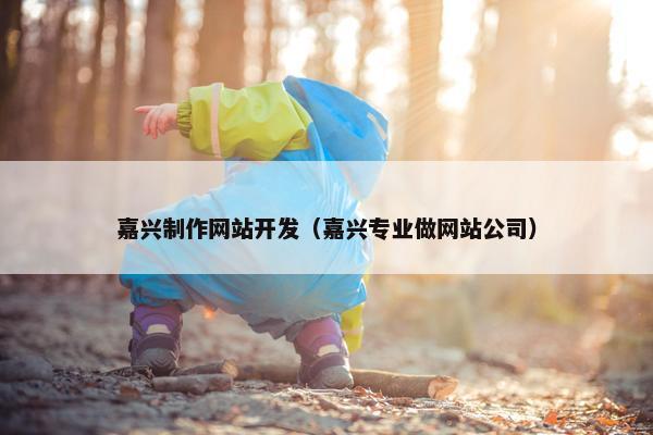 嘉兴制作网站开发（嘉兴专业做网站公司）
