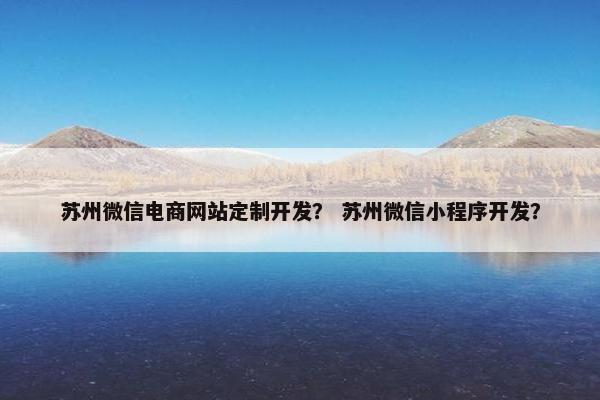 苏州微信电商网站定制开发？ 苏州微信小程序开发？