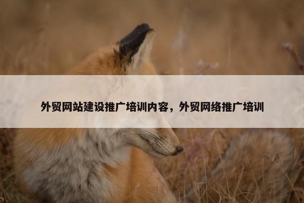 外贸网站建设推广培训内容，外贸网络推广培训