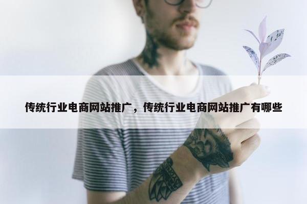 传统行业电商网站推广，传统行业电商网站推广有哪些