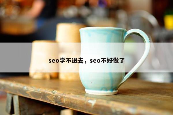 seo学不进去，seo不好做了