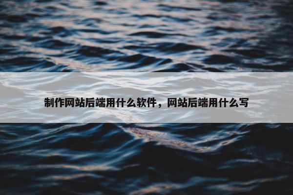 制作网站后端用什么软件，网站后端用什么写