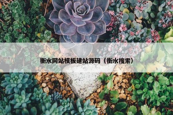 衡水网站模板建站源码（衡水搜索）
