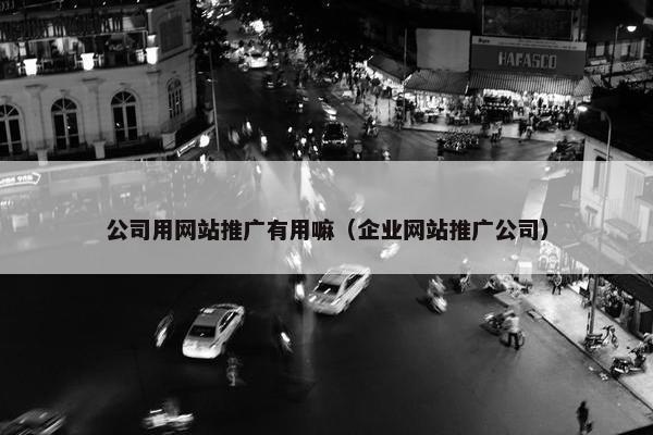公司用网站推广有用嘛（企业网站推广公司）