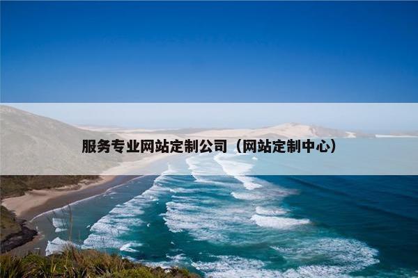 服务专业网站定制公司（网站定制中心）