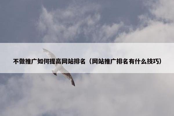 不做推广如何提高网站排名（网站推广排名有什么技巧）