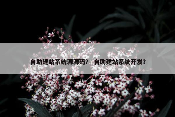 自助建站系统源源码？ 自助建站系统开发？