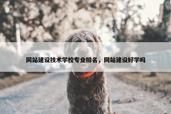 网站建设技术学校专业排名，网站建设好学吗