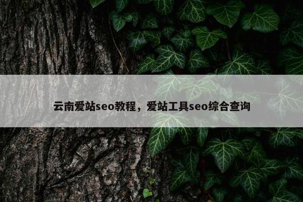 云南爱站seo教程，爱站工具seo综合查询