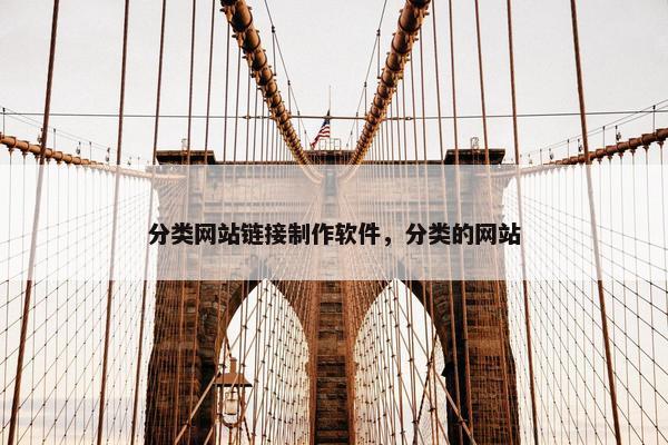 分类网站链接制作软件，分类的网站