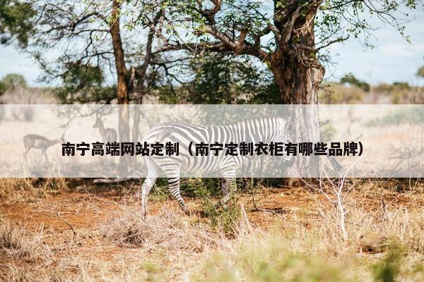 南宁高端网站定制（南宁定制衣柜有哪些品牌）