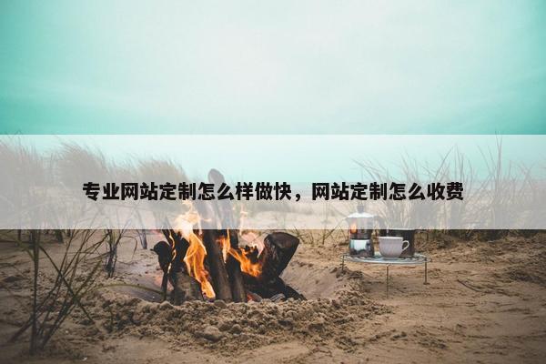 专业网站定制怎么样做快，网站定制怎么收费