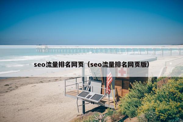 seo流量排名网页（seo流量排名网页版）