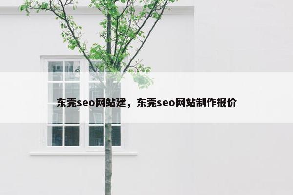 东莞seo网站建，东莞seo网站制作报价