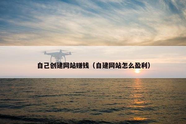自己创建网站赚钱（自建网站怎么盈利）