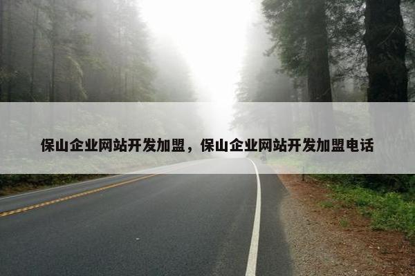 保山企业网站开发加盟，保山企业网站开发加盟电话