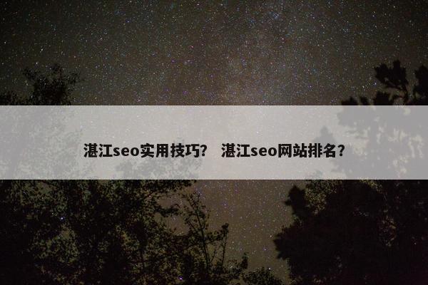 湛江seo实用技巧？ 湛江seo网站排名？