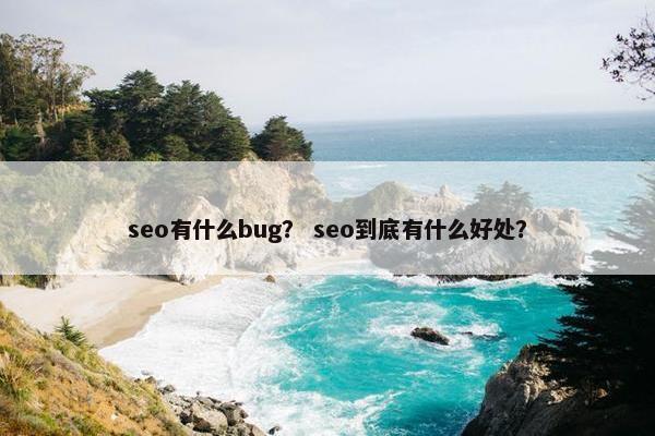 seo有什么bug？ seo到底有什么好处？