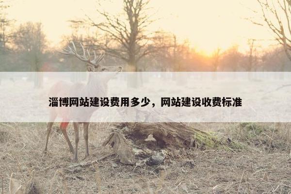 淄博网站建设费用多少，网站建设收费标准