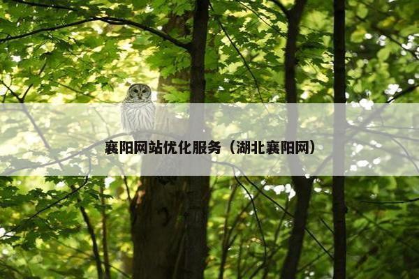 襄阳网站优化服务（湖北襄阳网）