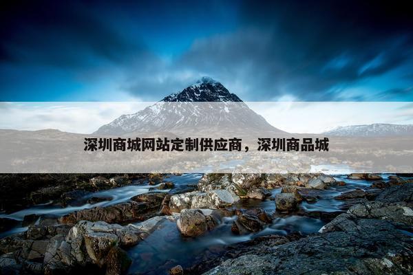 深圳商城网站定制供应商，深圳商品城