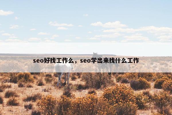 seo好找工作么，seo学出来找什么工作