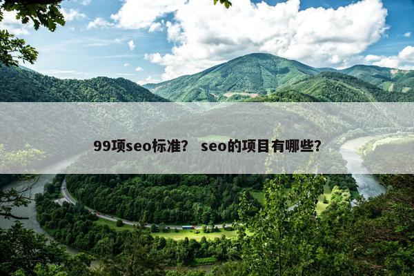 99项seo标准？ seo的项目有哪些？
