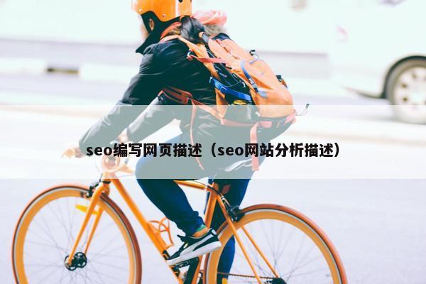 seo编写网页描述（seo网站分析描述）