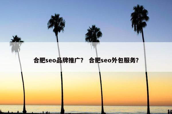 合肥seo品牌推广？ 合肥seo外包服务？
