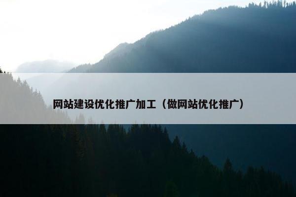 网站建设优化推广加工（做网站优化推广）