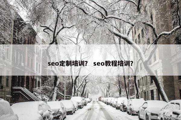 seo定制培训？ seo教程培训？