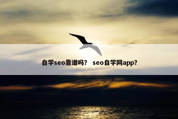 自学seo靠谱吗？ seo自学网app？